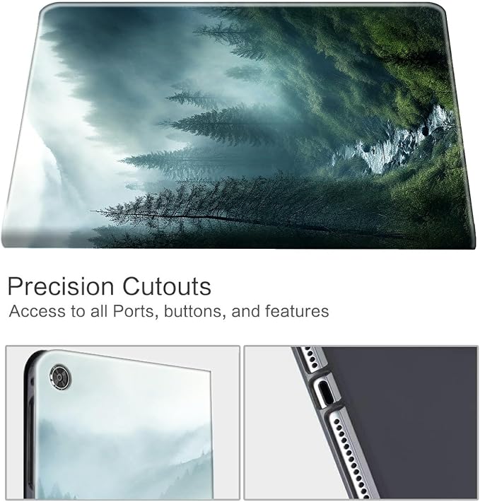 Forest In Rain