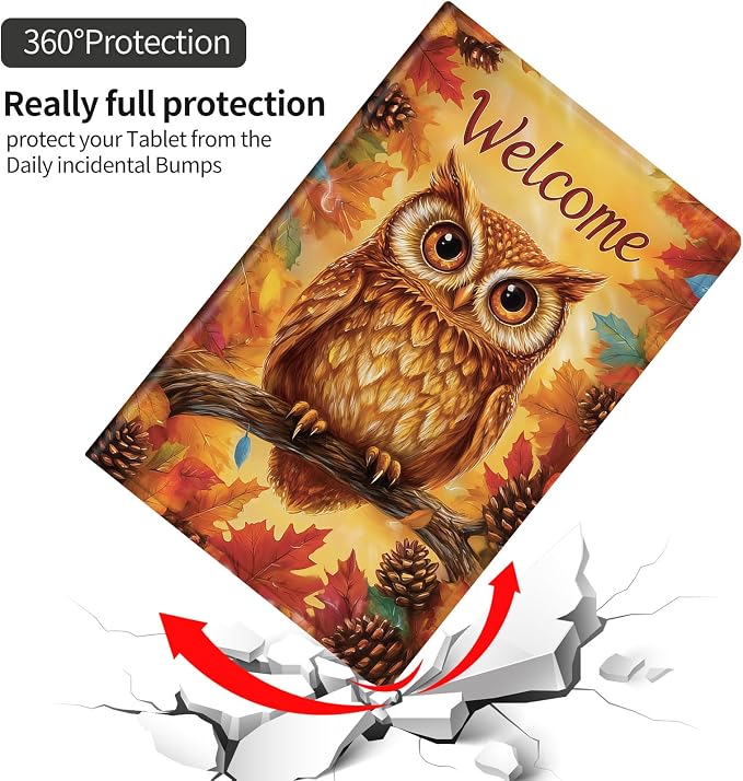 Pinecone And Cute Owl