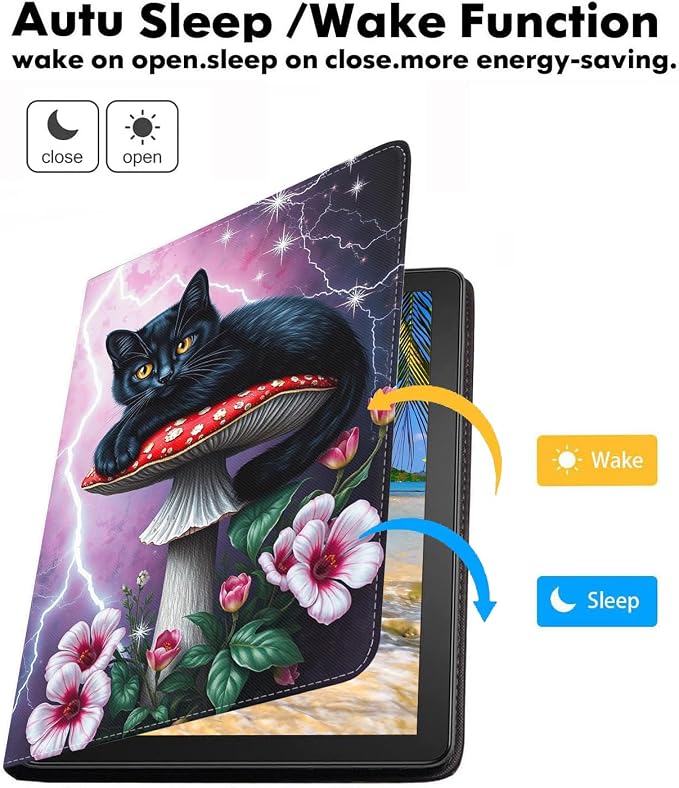 Black Cat-1