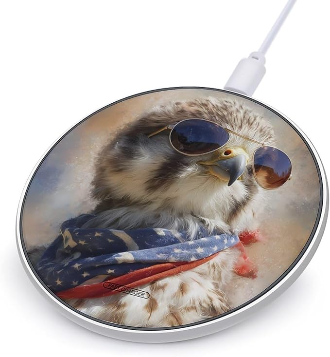 4th of July Hawks U.S.A. Fast Portable Charger 10W Funny Graphic Phone Charging Pad with USB Cable