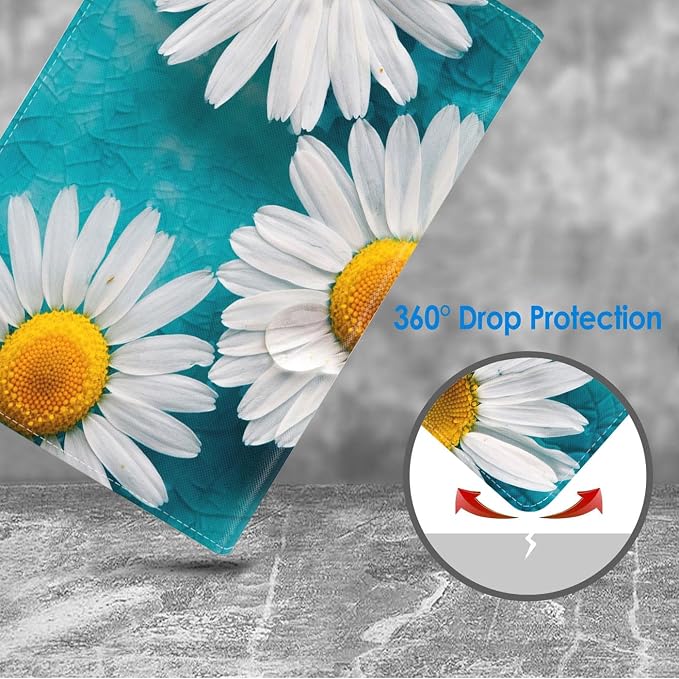 Daisy Flowers Bloom
