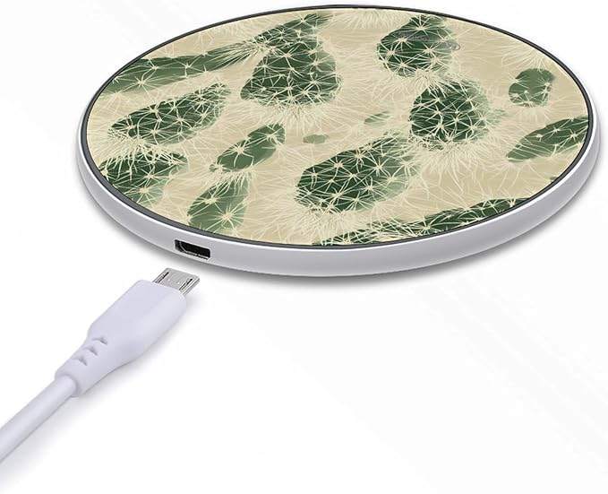 Desert Cactus Thorns Landscapes Phone Charger Magnetic Charging Pad Anti-Slip with USB Cable