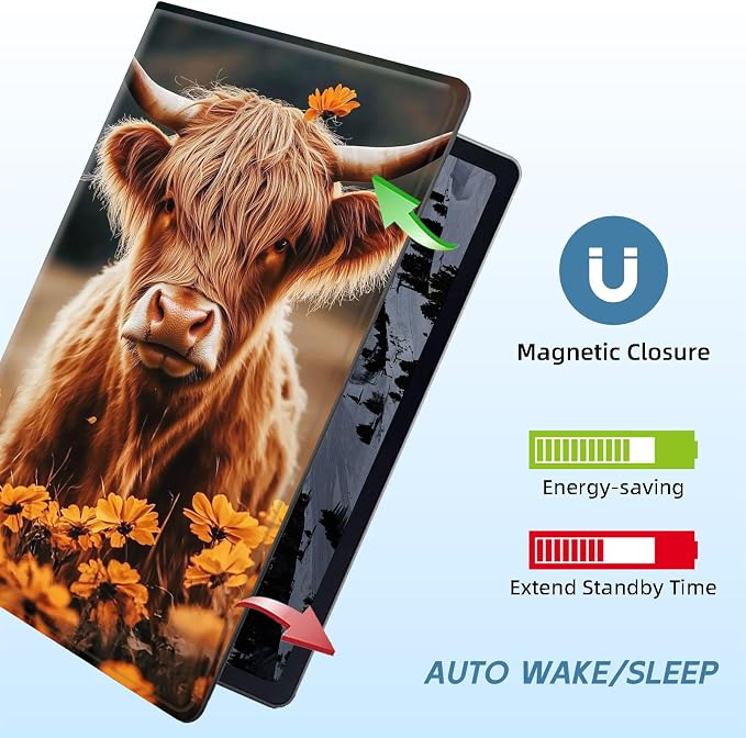 Highland Cow