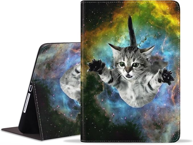 Galaxy Flying Cat