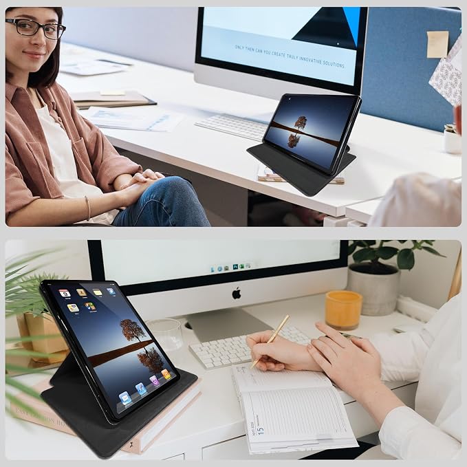 Beautiful Sunflower