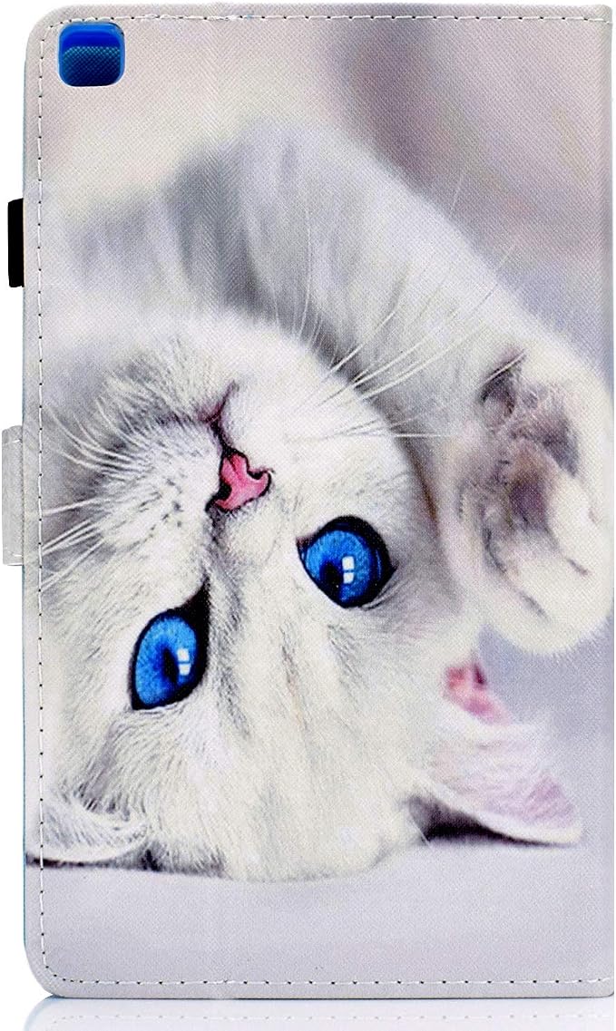 05# White Kitten Cat