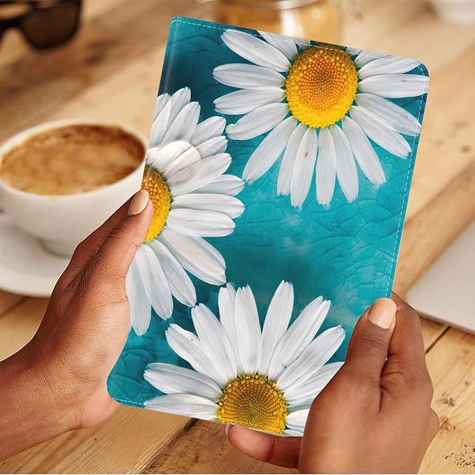 Daisy Flowers Bloom
