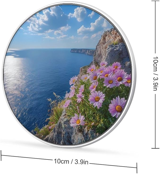 Beach Daisies Wireless Charger Anti-Slip Wireless Charging Pad Slim Charger Mat for Men Women