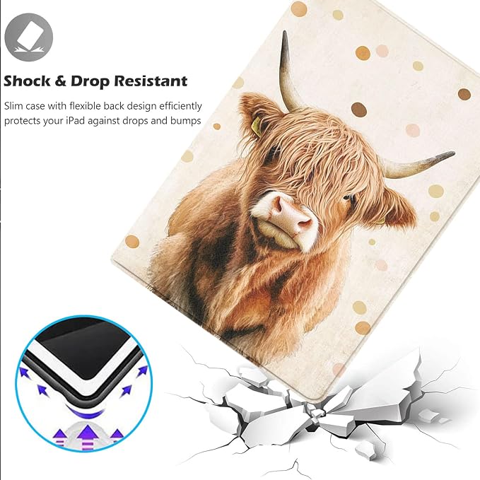 Highland Cow