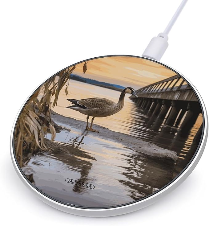 Wild Goose by The Bridge Wireless Charger Fast Wireless Charging Pad with USB Cable 10W Anti-Slip Magnetic Wireless Charger Portable Slim Charger Puck Travel Charging Station
