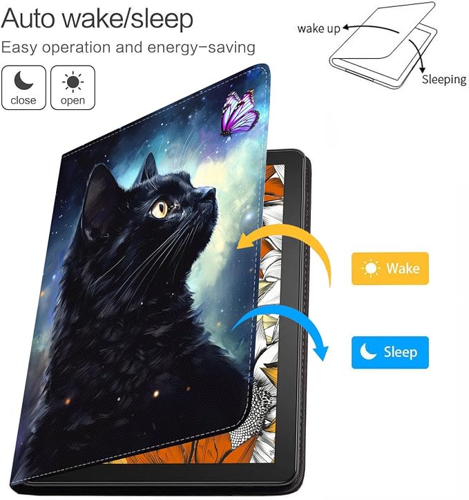 Black Cat and Butterfly