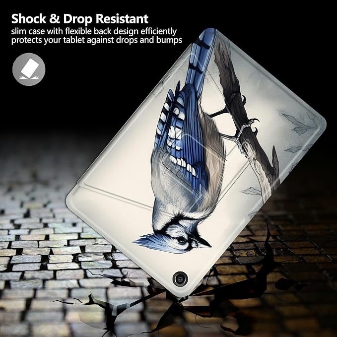 Blue Jay Bird