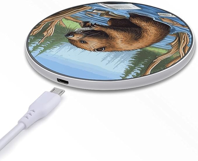 Busy Beaver Cartoon Wireless Charger Fast Wireless Charging Pad with USB Cable 10W Anti-Slip Magnetic Wireless Charger Portable Slim Charger Puck Travel Charging Station