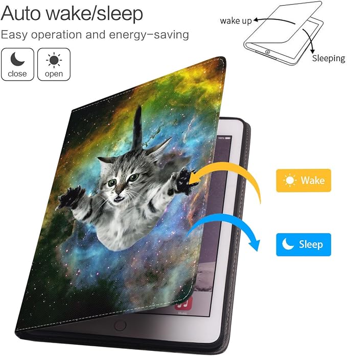 Galaxy Flying Cat