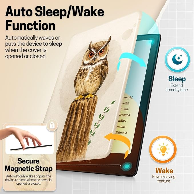 Owl in the Tree