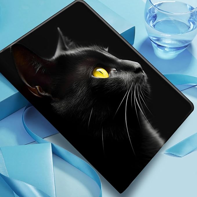 Black Cat