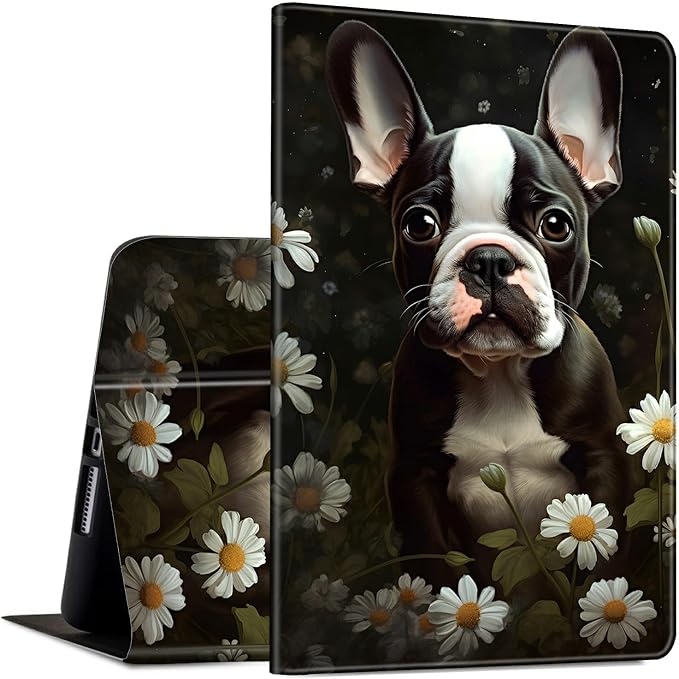 Boston Terrier Dog