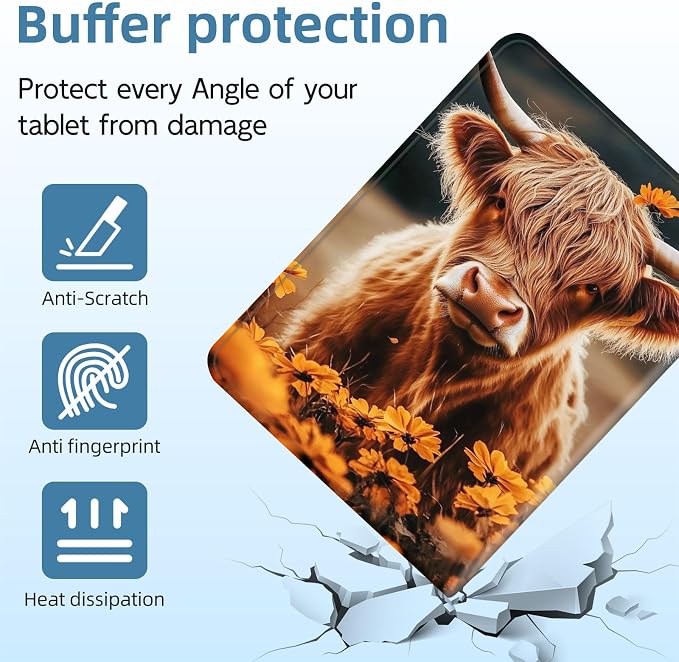 Highland Cow