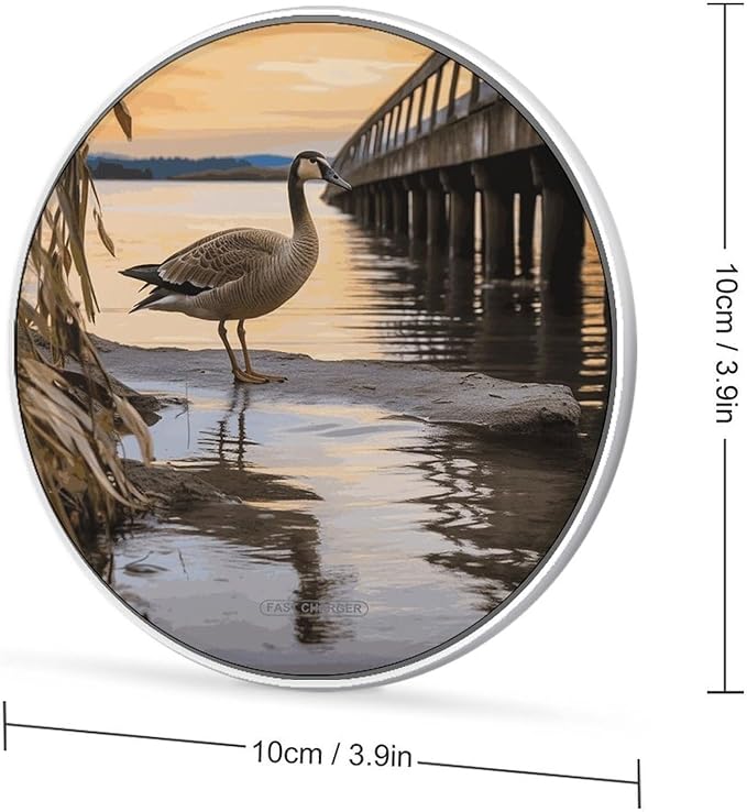 Wild Goose by The Bridge Wireless Charger Fast Wireless Charging Pad with USB Cable 10W Anti-Slip Magnetic Wireless Charger Portable Slim Charger Puck Travel Charging Station