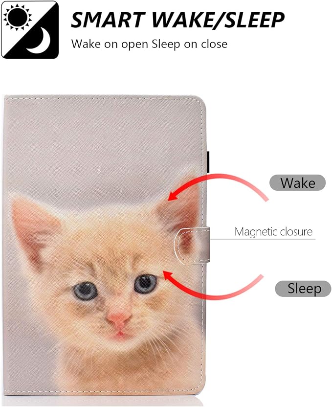 B_Cute Cat