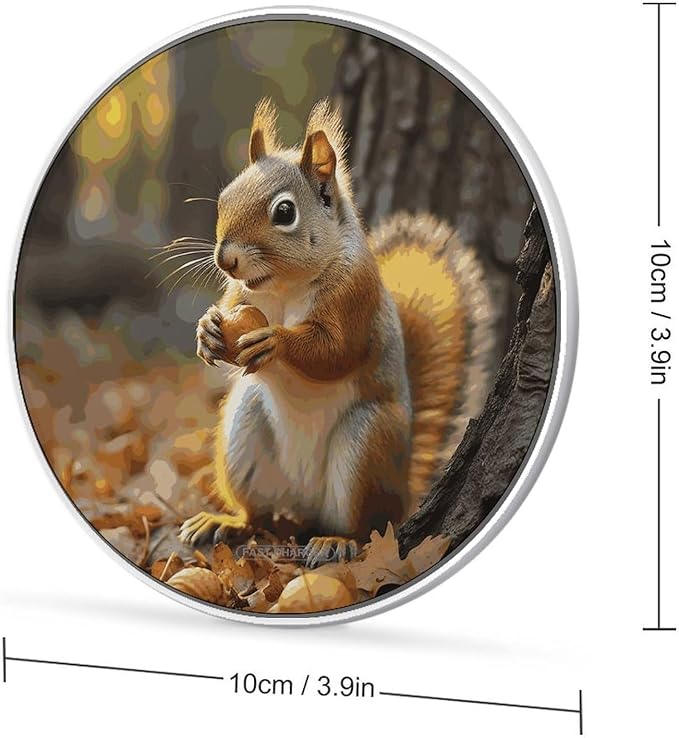 Cute Squirrel Eating Nuts Wireless Charger Fast Wireless Charging Pad with USB Cable 10W Anti-Slip Magnetic Wireless Charger Portable Slim Charger Puck Travel Charging Station