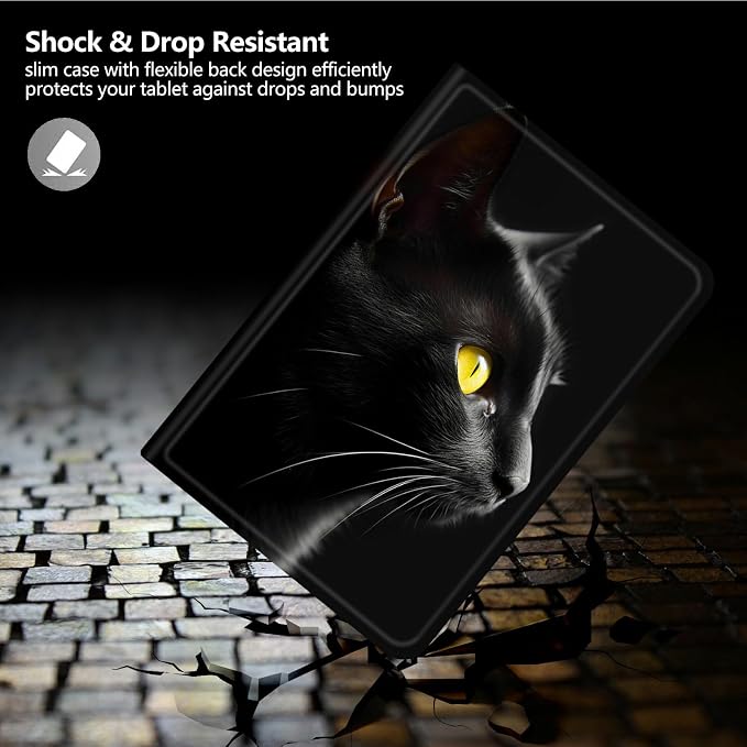Black Cat
