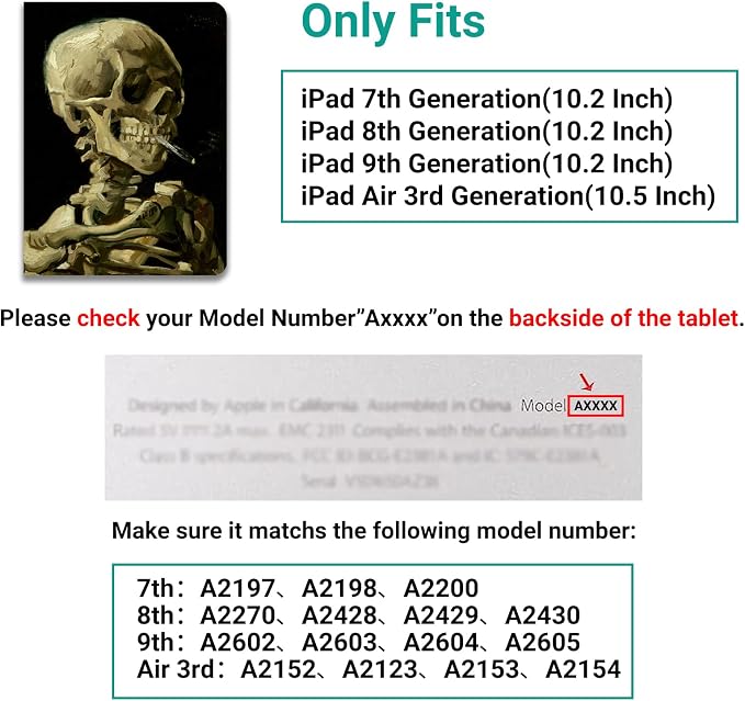 Head of a Skeleton