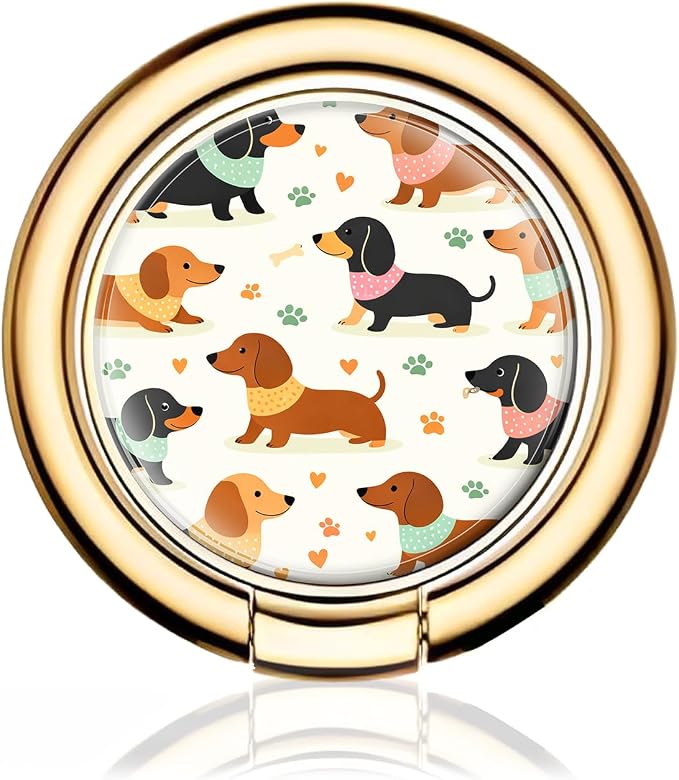 Cute Dachshund Dog