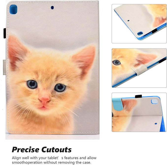 B_Cute Cat