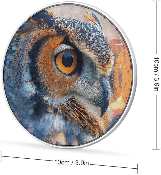 Owl Forests Mountains River Sunset Fast Portable Charger 10W Funny Graphic Phone Charging Pad with USB Cable