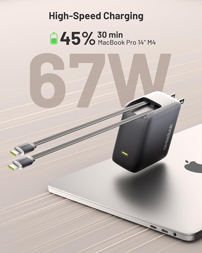 Black - 67W Dual Cables