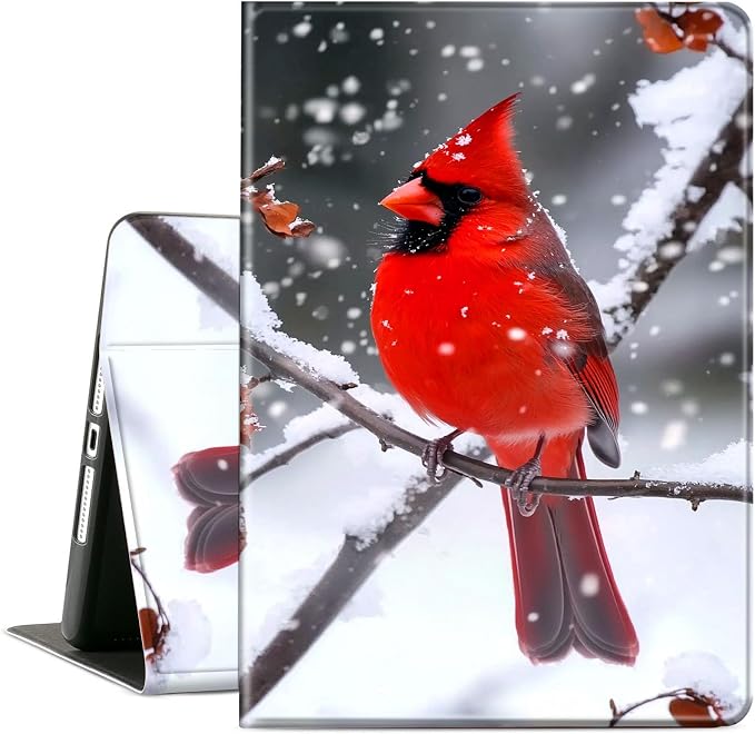 Main Cardinals Snow