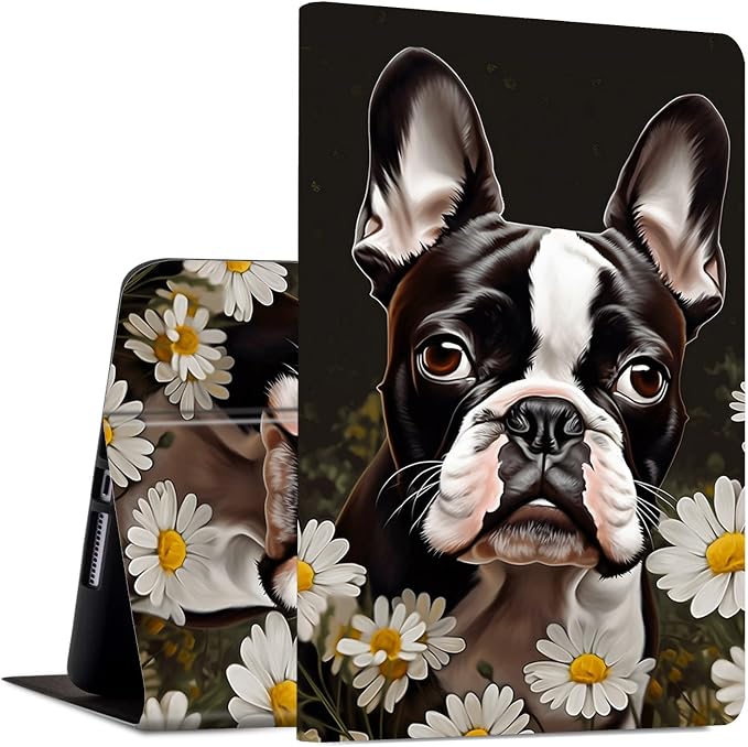 Boston Terrier Dog