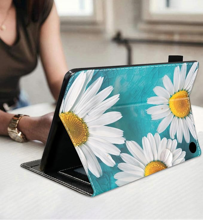 Daisy Flowers Bloom