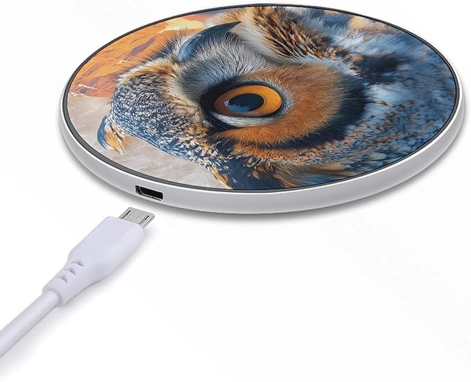 Owl Forests Mountains River Sunset Fast Portable Charger 10W Funny Graphic Phone Charging Pad with USB Cable