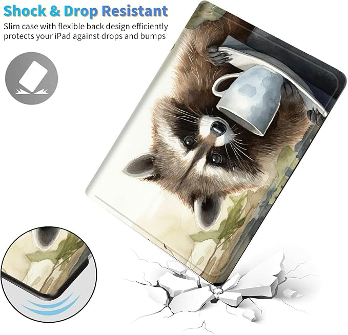 Raccoon