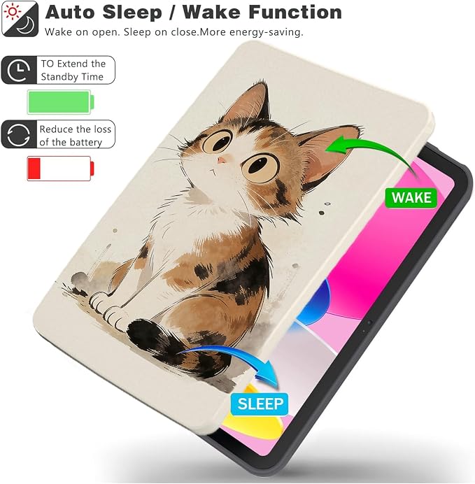 Tabby Cat