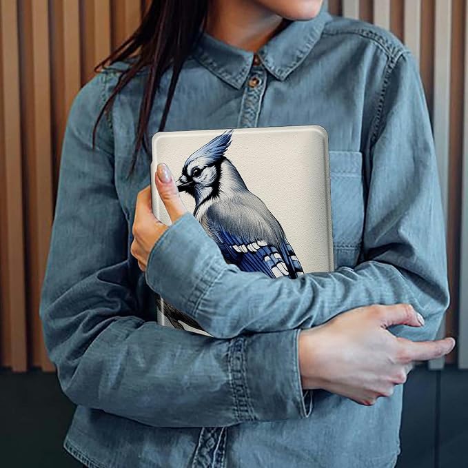 Blue Jay Bird
