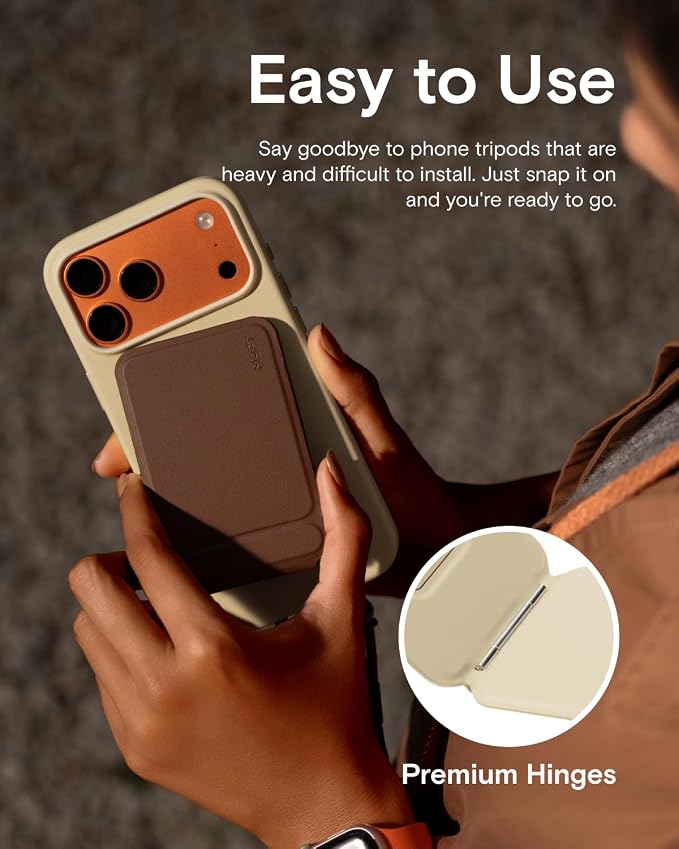 Misty Cove