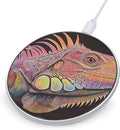 Colorful Lguana Phone Charger Magnetic Charging Pad Anti-Slip with USB Cable