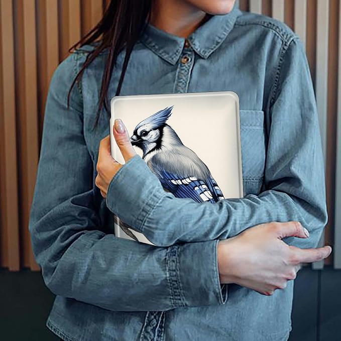 Blue Jay Bird