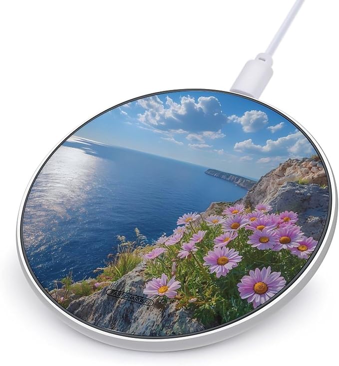 Beach Daisies Wireless Charger Anti-Slip Wireless Charging Pad Slim Charger Mat for Men Women