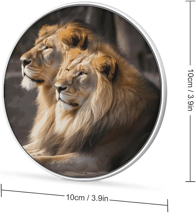 Two Lions Wireless Charger Fast Wireless Charging Pad with USB Cable 10W Anti-Slip Magnetic Wireless Charger Portable Slim Charger Puck Travel Charging Station