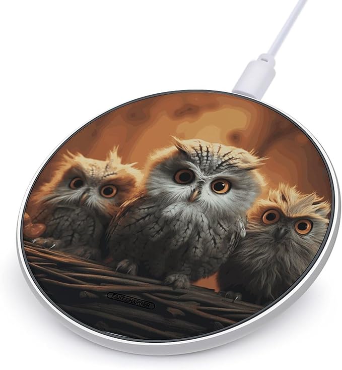 Cute Owl Baby Wireless Charger Fast Wireless Charging Pad with USB Cable 10W Anti-Slip Magnetic Wireless Charger Portable Slim Charger Puck Travel Charging Station
