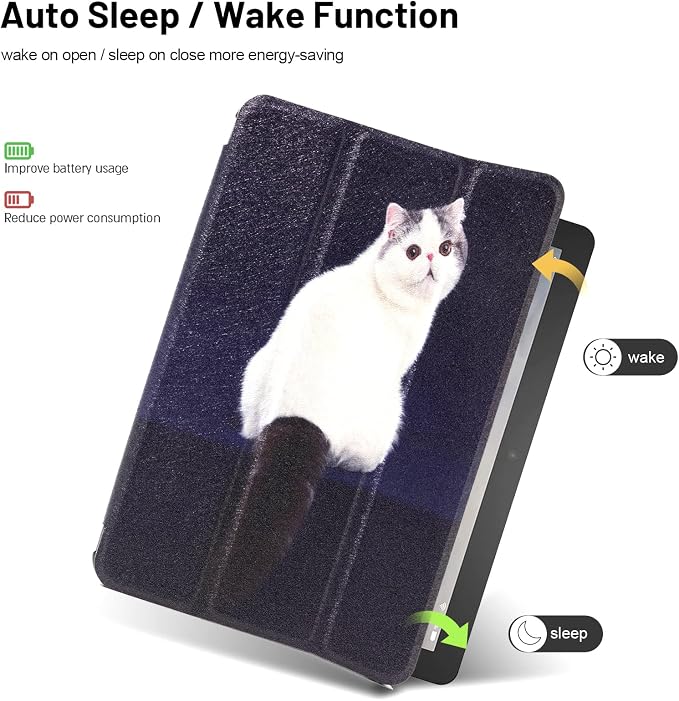 001 Cute Cat