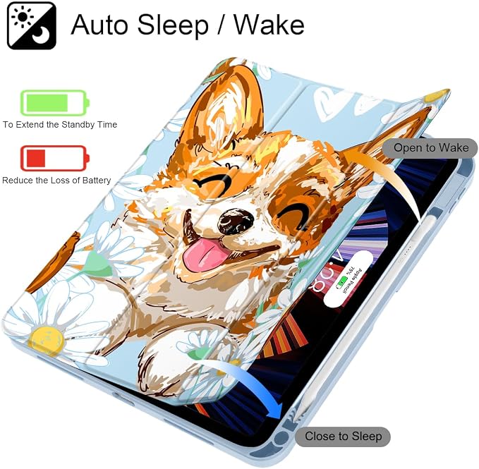 Cute Corgi Dog