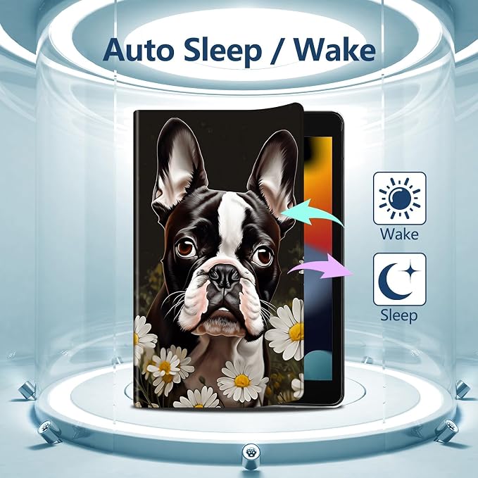 Boston Terrier Dog