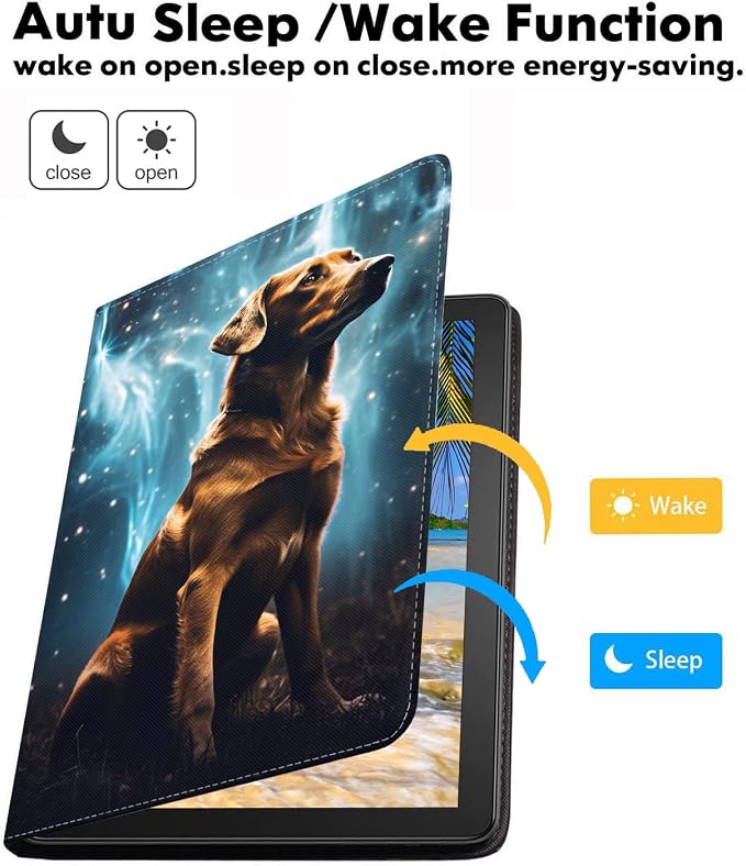 Labrador-1