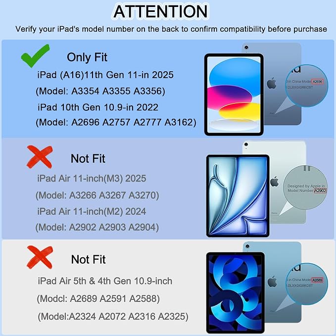19 Light Blue Stand
