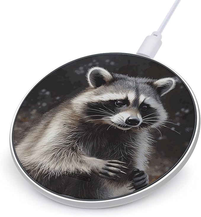 Raccoon Wireless Charger Fast Wireless Charging Pad with USB Cable 10W Anti-Slip Magnetic Wireless Charger Portable Slim Charger Puck Travel Charging Station